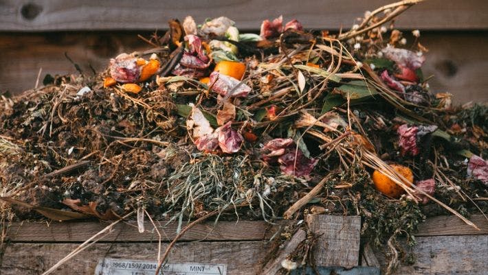 dried leaves on ground beside wooden fence