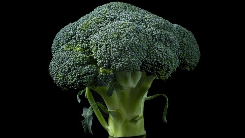 Green Broccoli